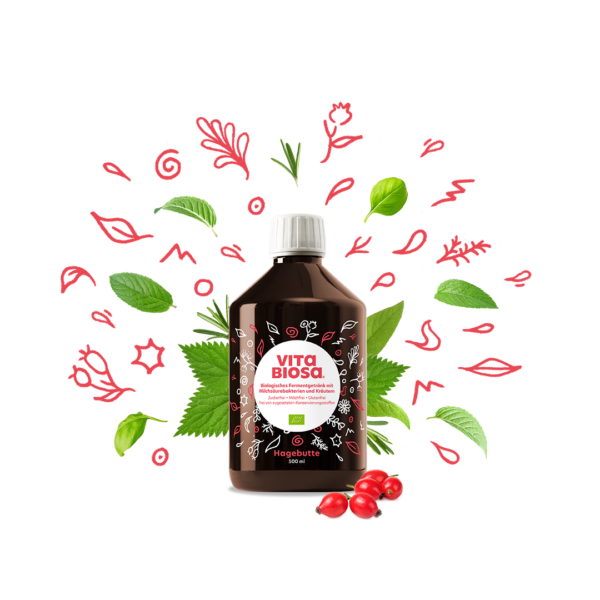 Vita Biosa Hagebutte BIO