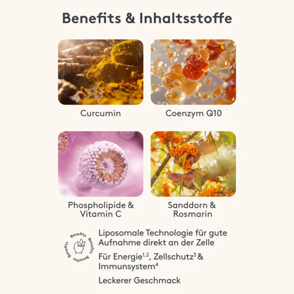 LIPO Curcumin Booster – Bild 4