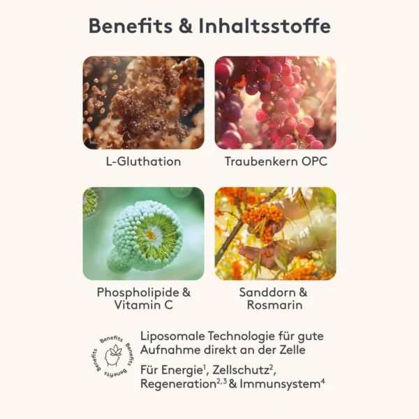 LIPO Glutathion Booster – Bild 5