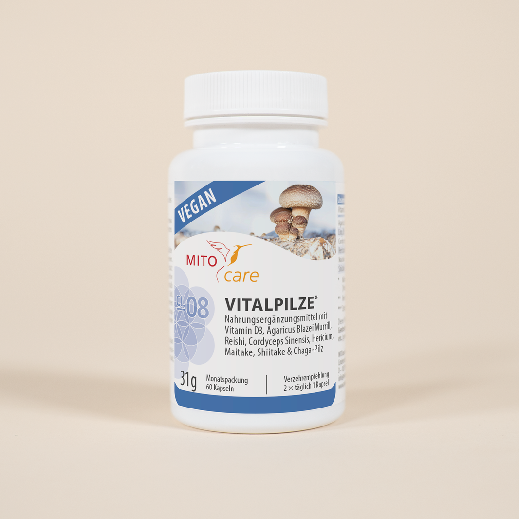 Mitocare Vitalpilze